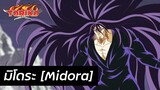 Toriko - ประวัติ มิโดระ Midora
