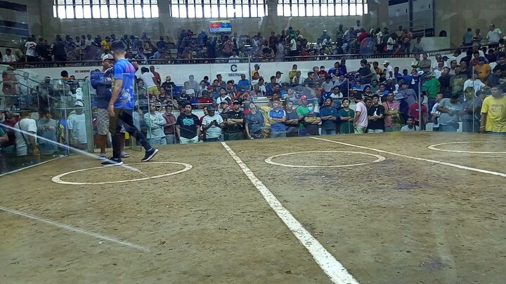 GB x cardinal kelso (win)@ san juan col.