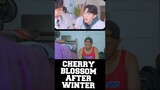 CHERRY BLOSSOM AFTER WINTER EP 1 REACTION