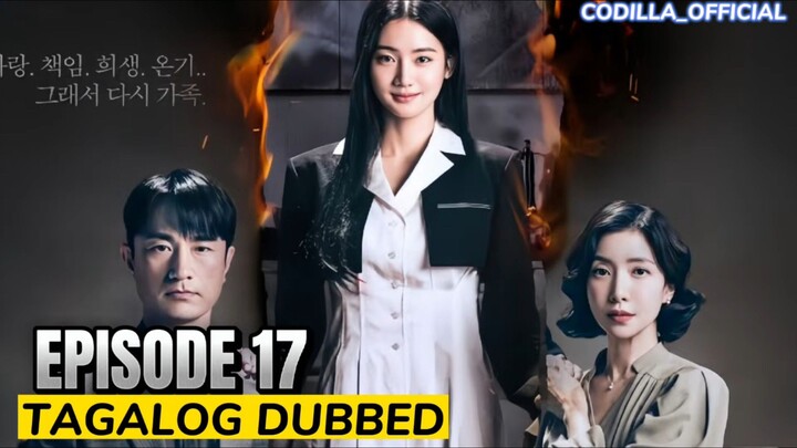 Perfect Family 2024 Episode 17 Tagalog Dubbed