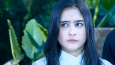 426 Ganteng Ganteng Serigala