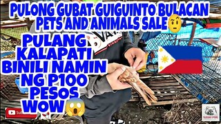 MURANG BILIHAN NG MGA HAYOP SA PULONG GUBAT GUIGUINTO BULACAN PHILIPPINES. vlog#322