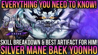 Solo Leveling Arise - How Good Is Silver Mane Baek Yoonho! *Best Artifact & How to Play Him*