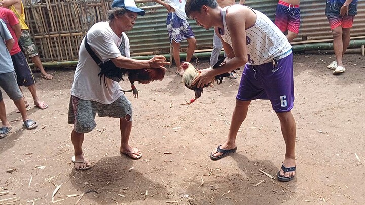 Anak lumaban ka 1st fight 6 months old lang Talisay