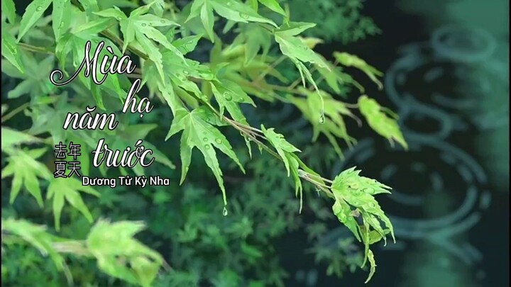 Mùa hạ năm trước - Cover Dương Tử Kỳ Nha