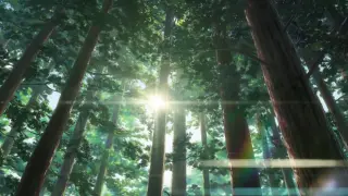 [Makoto Shinkai mixed cut, 1080P] Makoto Shinkai's tenderness