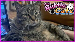 The Battle Cat Android Review Indonesia | Game Gacha Kucing Aneh