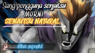 OHH TERNYATA dia pengguna Senjutsu NATRURAL yha ‼️