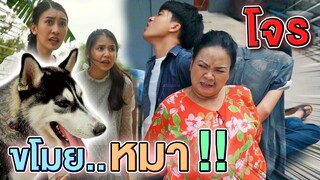 จับหมา...มาทำลูกชิ้น !! เออเรอร์โดนขโมย พี่ดรีมต้องช่วยแล้ว - DING DONG DAD