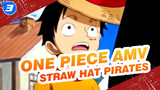 [One Piece AMV / Epic] The Story of Straw Hat Pirates_3