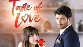 TASTE OF LOVE episode 12 Turkish drama Tagalog dubbed
