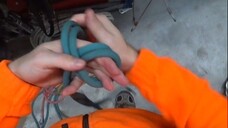 A figure of eight knot step by step