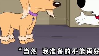 Family Guy: Brian เข้าแข่งขันเพื่อหาแฟน แต่ต้องแสดงต่อหน้าทุกคน!