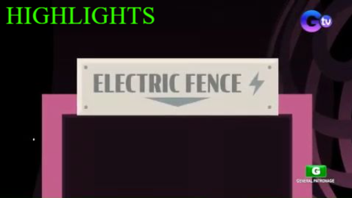 Electric Fence Room