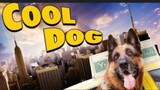 Cool Dog // Full Family Adventure Comedy // Full Movie
