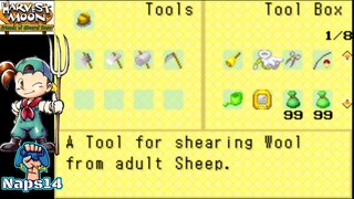 Harvest Moon FoMT part 5