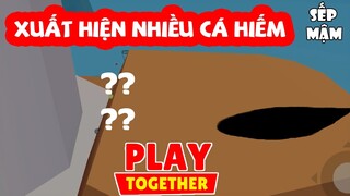 PLAY TOGETHER | Phát Hiện Nhiều Cá Hiếm Trong Lòng Phiến Đá Ở Hải Đăng | Sếp Mậm