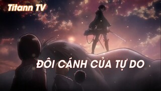 Attack On Titan (Short Ep 13) - Đôi cánh của tự do