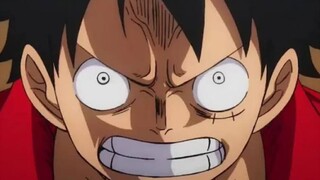 Luffy Akhirnya Tau Kid Gizao Dikalahkan Oleh Shanks - ONE PIECE