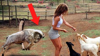 Incredible Things Caught On Camera 😱 #7