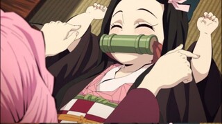 MOMEN NEZUKO DI PAKSA