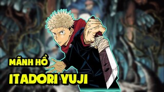 "Mãnh Hổ" Itadori Yuji (Jujutsu Kaisen) - - Tiêu Điểm Nhân Vật