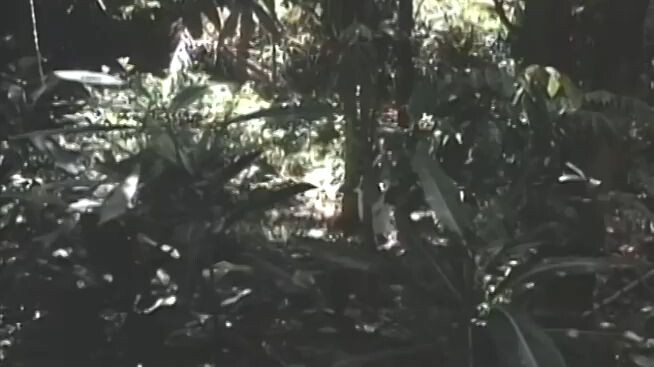 tiyanak...isa na namang old but gold tagalog movie..follow for more videos.