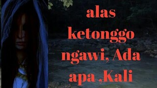 Penelusuran di alas ketonggo ngawi,lihat sesuatu?