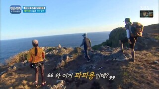 Law of the Jungle in Tonga [4] ENG SUB