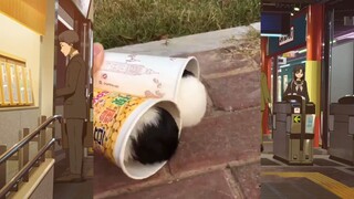 CUTE PET #น่ารัก&ตลก #5555+