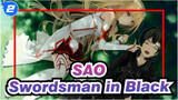 Sword Art Online|[Epicness Ahead]"Have you seen a swordsman dressed in black?_2