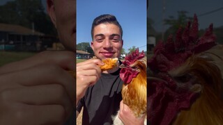 Eat A Chicken In Front Of A Chicken 🐔