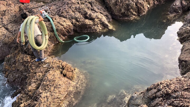 50斤生蚝打窝5米深坑，藏着的剧毒蓝环章鱼把阿甘吓坏了！