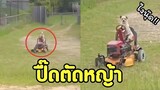 ใครวะขับรถตัดหญ้า เอ๊าไอ้ปื๊ด !! #รวมคลิปฮาพากย์ไทย