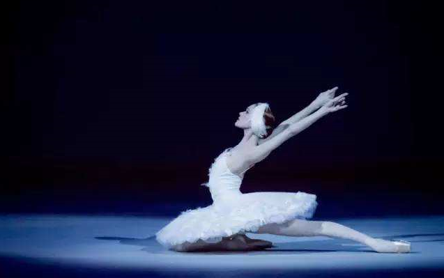 [HD Ballet] [The World's First White Swan] Pure Body - "The Dying Swan" Uliana Lopatkina Tokyo Tour 