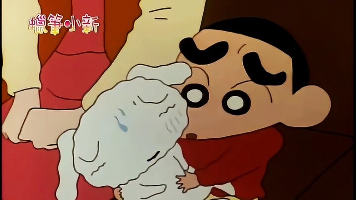 “当小白生病后小新才懂得珍惜”