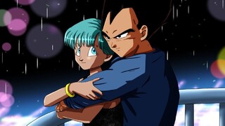 28 Cặp Đôi Dragonball Phần 2