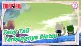 Fairy Tail | "Terbang Dengan Cara yang Sama Sepertimu, Natsu."_2