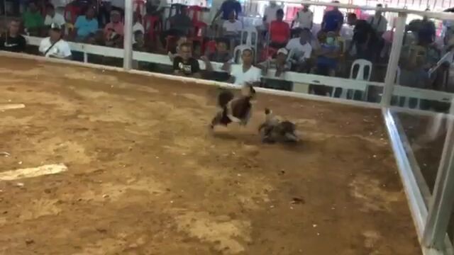 late upload 1st fight