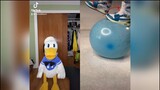 Donald Duck Reacts To Very Satisfying Tiktok Videos (TRY NOT TO LAUGH CHALLENGE) @DonaldDucc