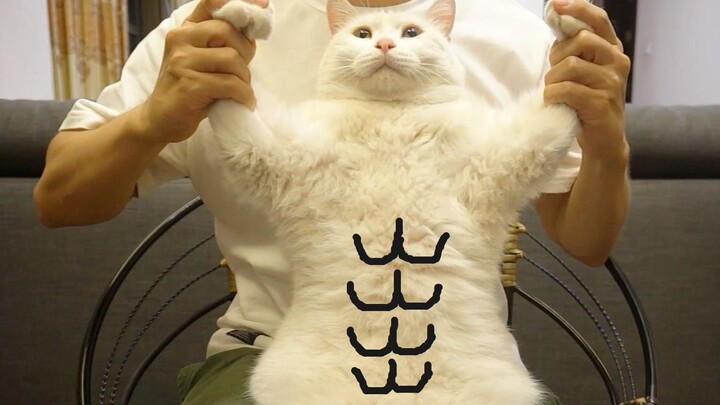 อ้วนขาว: แมวแข็งแรงแบบผม ไม่เคยเห็นสิท่า