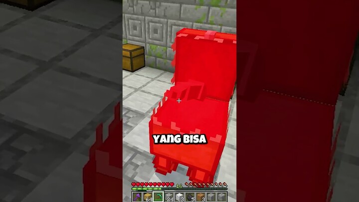 Jebakan Di Minecraft Yang Belum Pernah Kamu Lihat Sebelumnya