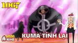 [One Piece 1067]. CỰC HÓT! TAQ của Vegapunk được tiết lộ, Kuma 'hàng real' tỉnh lại