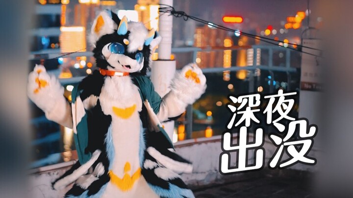 深夜楼顶奇行种？但是看着超开心！