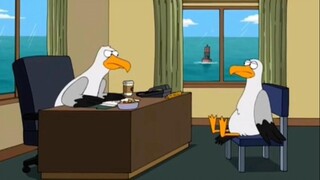 Family Guy - The Seagull Collection