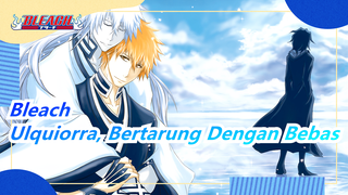 [Bleach] Ulquiorra, Bertarung Dengan Bebas, Kamu Bisa Mengalahkan Ichigo