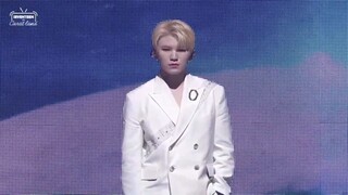 [WOOZI FACECAM] 2020 SEVENTEEN IN CARATLAND