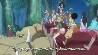 ONE PIECE (Nekomamushi 🎼🎶)