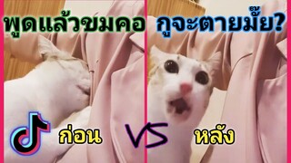 รวมคลิปสัตว์ฮาๆเด็ดๆ(ในแอปTikTok #18)​[พูดแล้วขมคอ​ กูจะตายมั๊ย?]