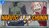 Uzumaki Naruto Dalam Pertempuran Sengit (Ujian Chunin)_1